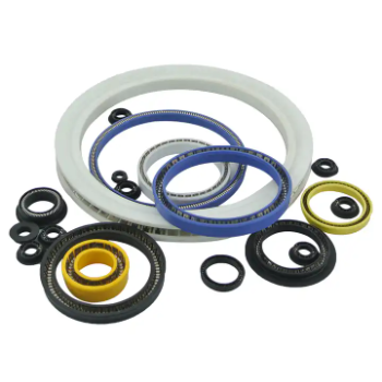 oil seal